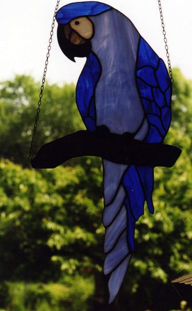 Blauer Ara